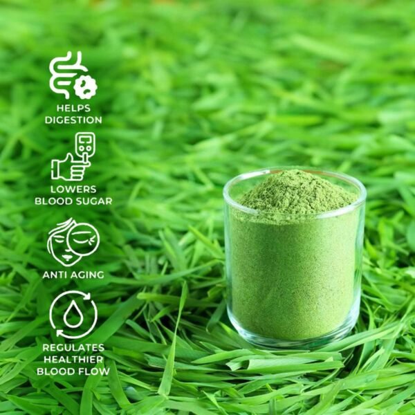 SAPTAMVEDA 100% Organic Wheatgrass Powder 100 Gm Non-GMO, Vegan, Superfood | Antioxidant, Energy, Detox, Immunity Booster, Skin Health| Resealable Bag