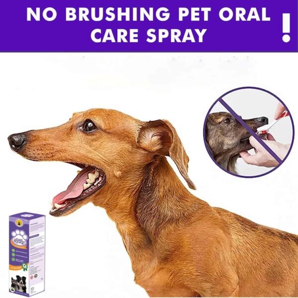 Tail & Collar Club Dental Spray for Dogs & Cats – Fight Against Bad Breath, Plaque, Tartar & Gum Disease Without Brushing (Pack of 1)